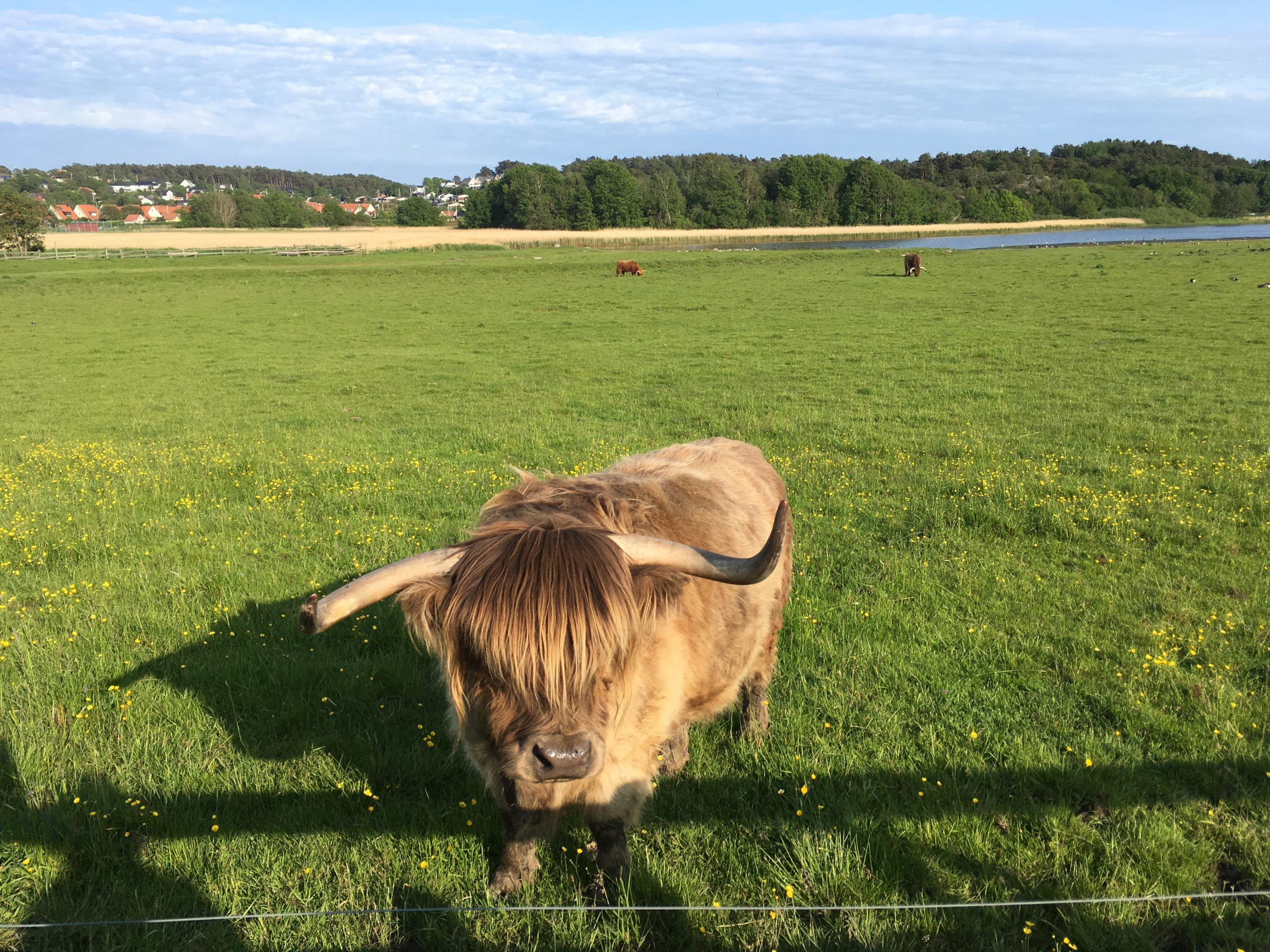 INSTÄLLT! Vårpromenad vid Välen/Näset
