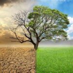 Klimatet - en fråga i tiden